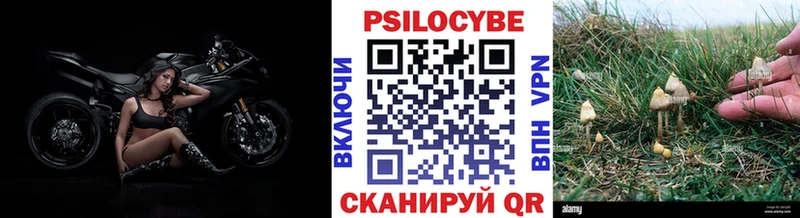 Псилоцибиновые грибы ЛСД  Бугуруслан 