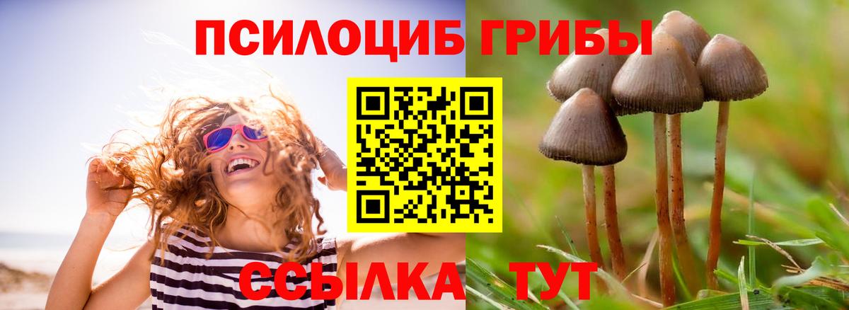 Галлюциногенные грибы мухоморы  что такое наркотик  Бугуруслан 